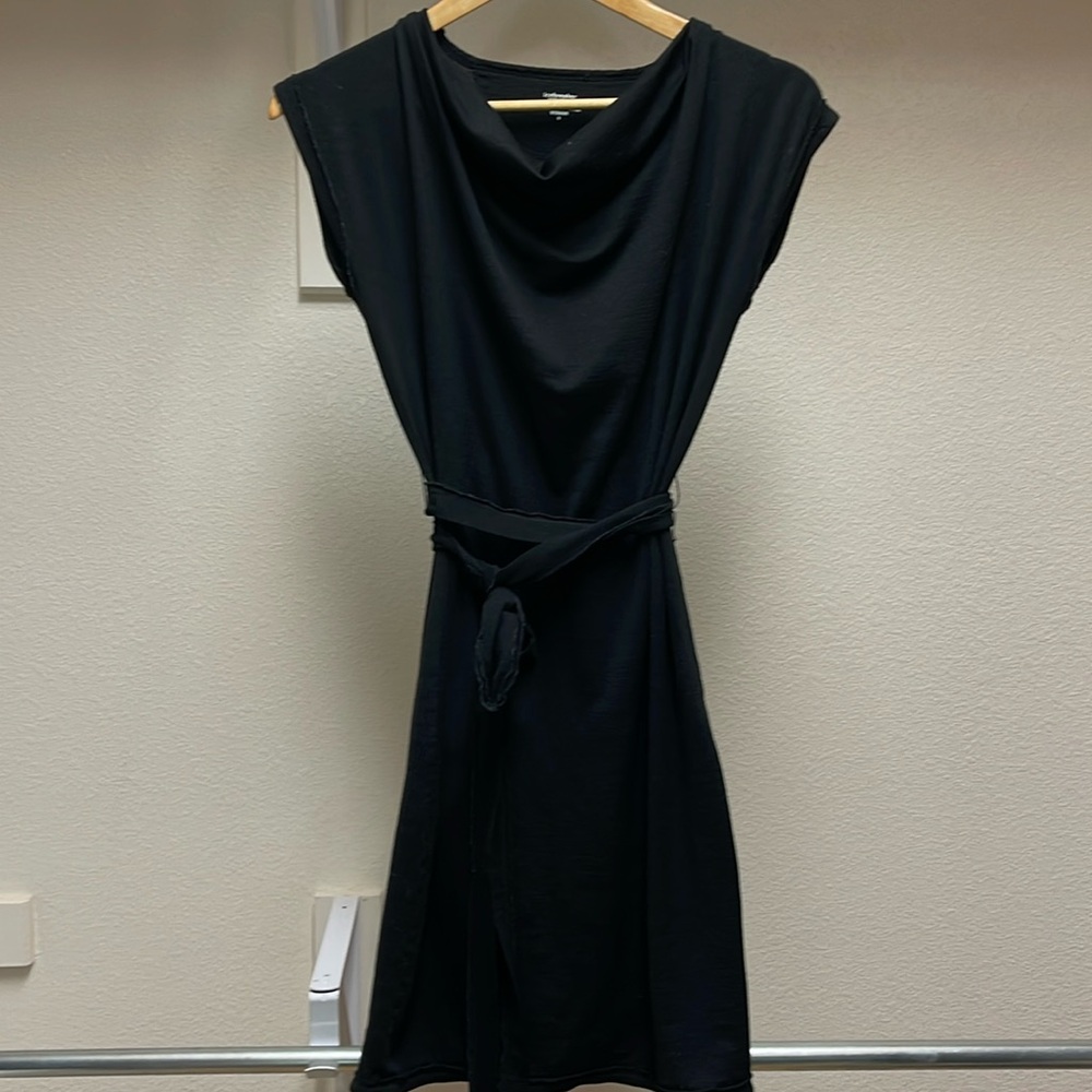 Icebreaker superfinelite merino wool dress